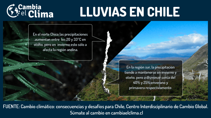 infografia 2 twitter