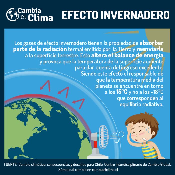 infografia 3